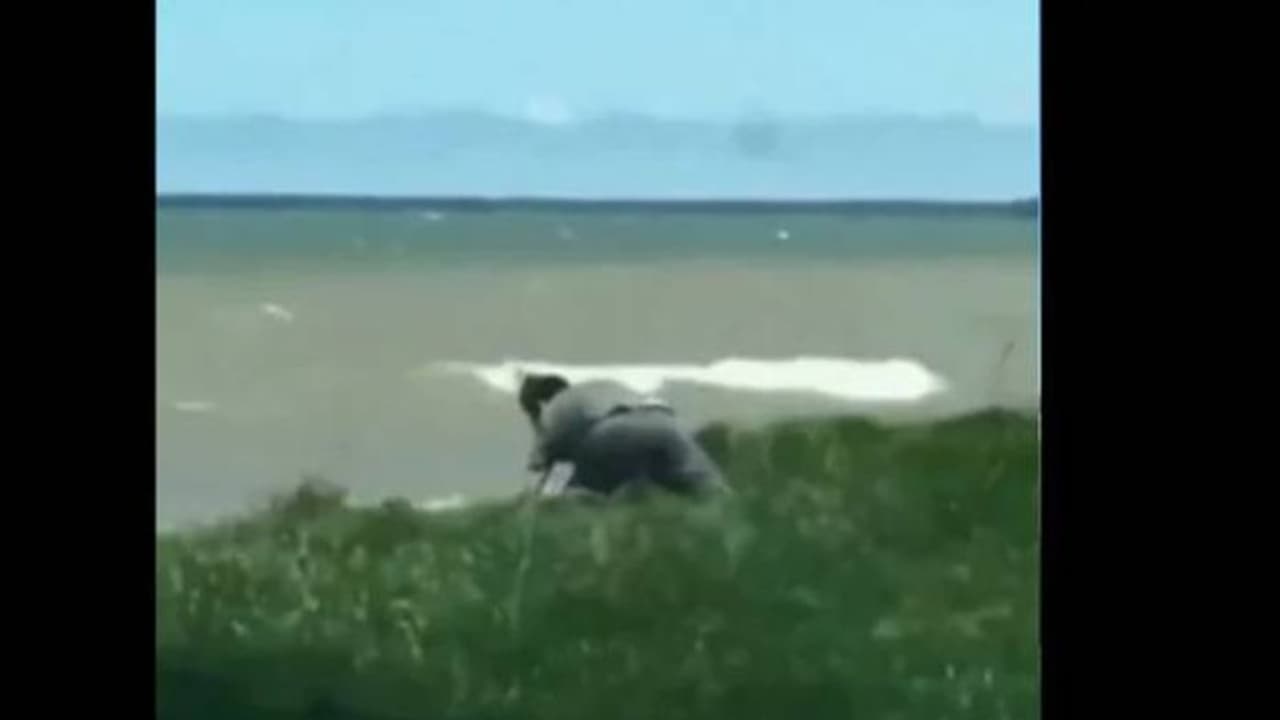 അയ്യോ വീഴല്ലേ വീഴല്ലേ, വീഴാന് പോകുന്ന നായയെ രക്ഷിക്കുന്ന മനുഷ്യന്, മനം കവര്ന്ന് വീഡിയോ അയ്യോ വീഴല്ലേ വീഴല്ലേ, വീഴാന് പോകുന്ന നായയെ രക്ഷിക്കുന്ന മനുഷ്യന്, മനം കവര്ന്ന് വീഡിയോ