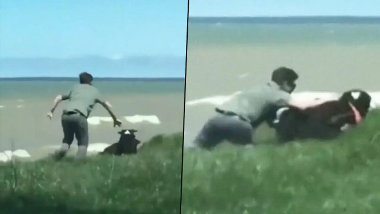 Check out how a man saves his pet dog from rolling off the cliff; video goes viral Check out how a man saves his pet dog from rolling off the cliff; video goes viral