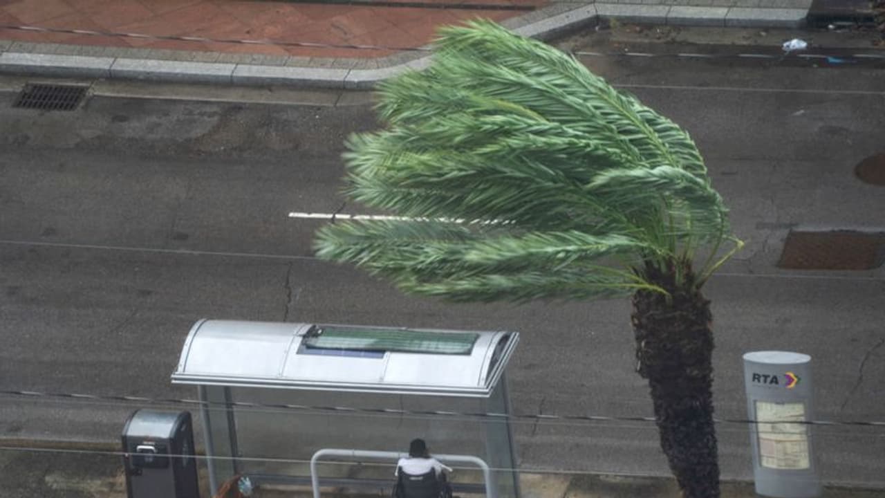 മണിക്കൂറിൽ 240 കിലോമീറ്റർ വേഗത: അമേരിക്കയിൽ വൻനാശം വിതച്ച് ഐഡ ചുഴലിക്കാറ്റ് മണിക്കൂറിൽ 240 കിലോമീറ്റർ വേഗത: അമേരിക്കയിൽ വൻനാശം വിതച്ച് ഐഡ ചുഴലിക്കാറ്റ്