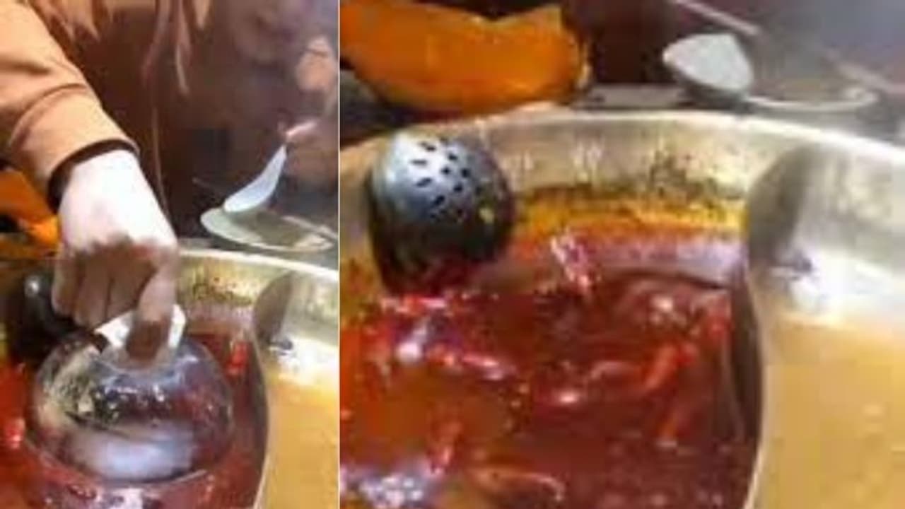 കറിയില് എണ്ണ കൂടിയോ? പരീക്ഷിക്കാം ഈ പൊടിക്കൈ; വീഡിയോ കറിയില് എണ്ണ കൂടിയോ? പരീക്ഷിക്കാം ഈ പൊടിക്കൈ; വീഡിയോ