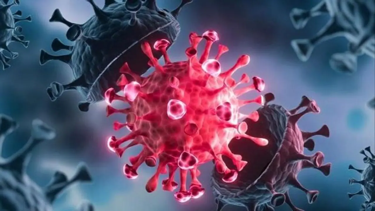 WHO designates new B.1.1.529 COVID strain as ‘variant of concern’, renames it Omicron