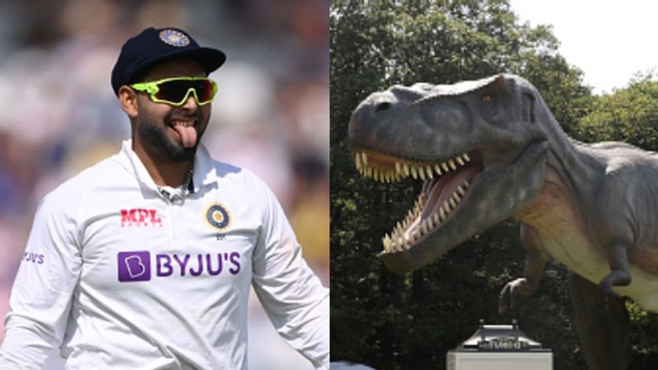 ওভাল টেস্টের আগে ডাইনোসরের সঙ্গে 'আড্ডা' পন্থের, কী 'কথা' হল দুজনের মধ্যে ওভাল টেস্টের আগে ডাইনোসরের সঙ্গে 'আড্ডা' পন্থের, কী 'কথা' হল দুজনের মধ্যে