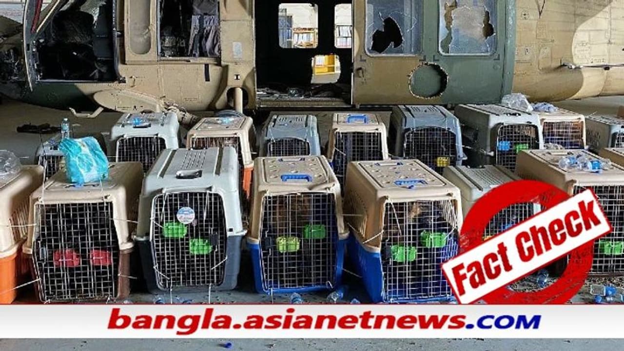 Fact Check সত্যিই কি সামরিক কুকুরদের কাবুলে ফেলে গেল মার্কিন সেনা, ভাইরাল হল ছবি Fact Check সত্যিই কি সামরিক কুকুরদের কাবুলে ফেলে গেল মার্কিন সেনা, ভাইরাল হল ছবি