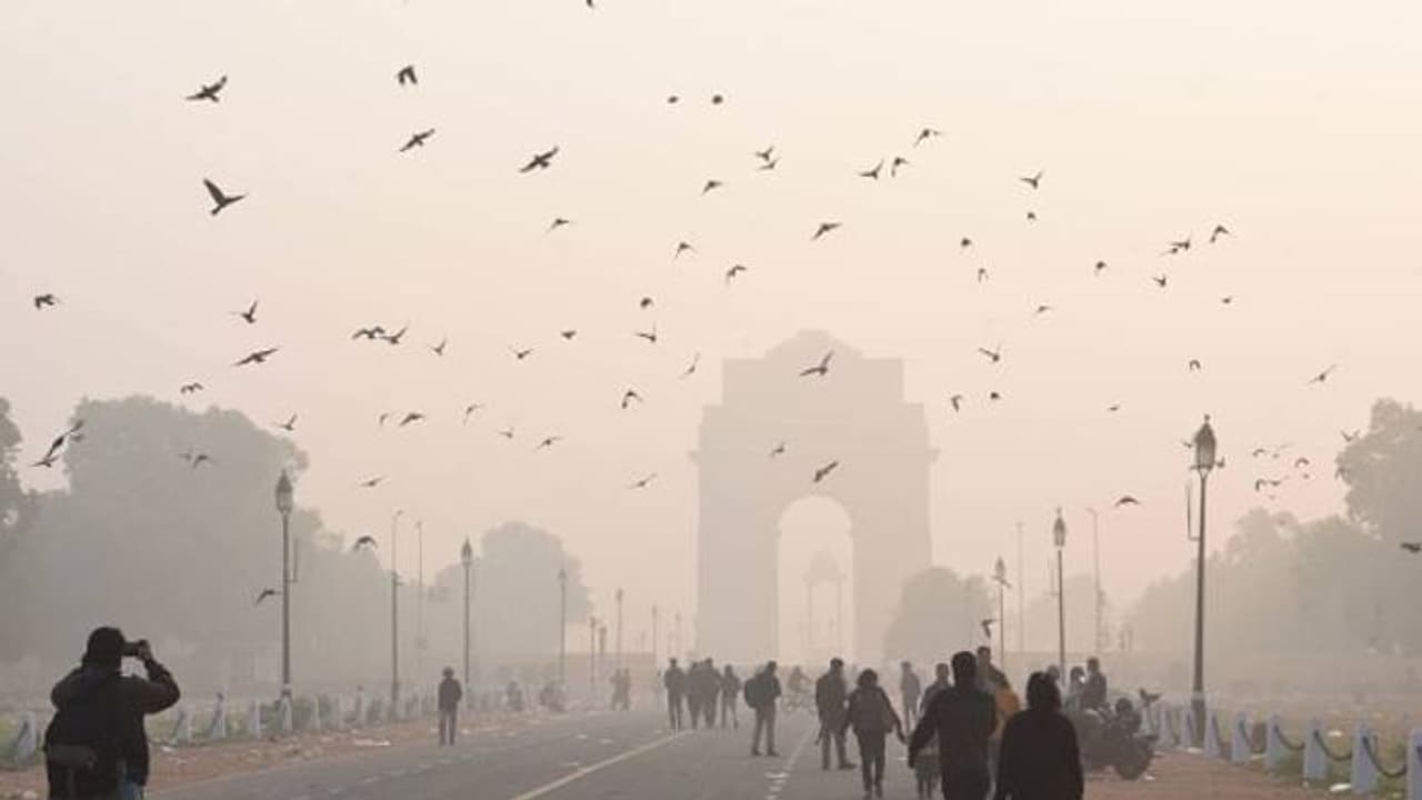 വായുമലിനീകരണം കൂടുന്നു, 40 ശതമാനം ഇന്ത്യക്കാരുടെ ആയുസിൽനിന്ന് കുറയുക ഒമ്പത് വർഷം? ദില്ലിയുൾപ്പടെ സ്ഥിതി രൂക്ഷം