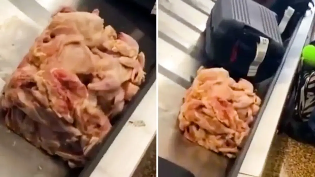 Heap of raw chicken on airport luggage carousel leaves netizens  sickened; watch the video