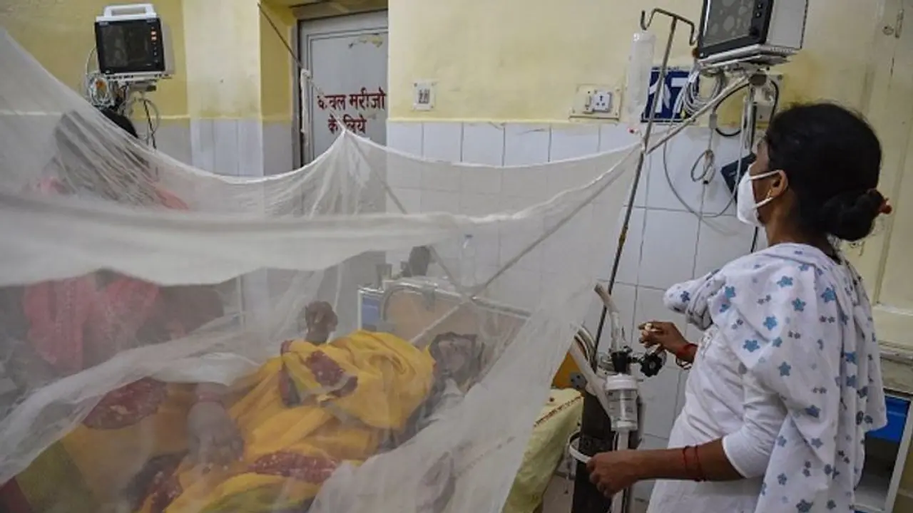 Dengue outbreak: Centre rushes teams to 9 states, 2 Union Territories