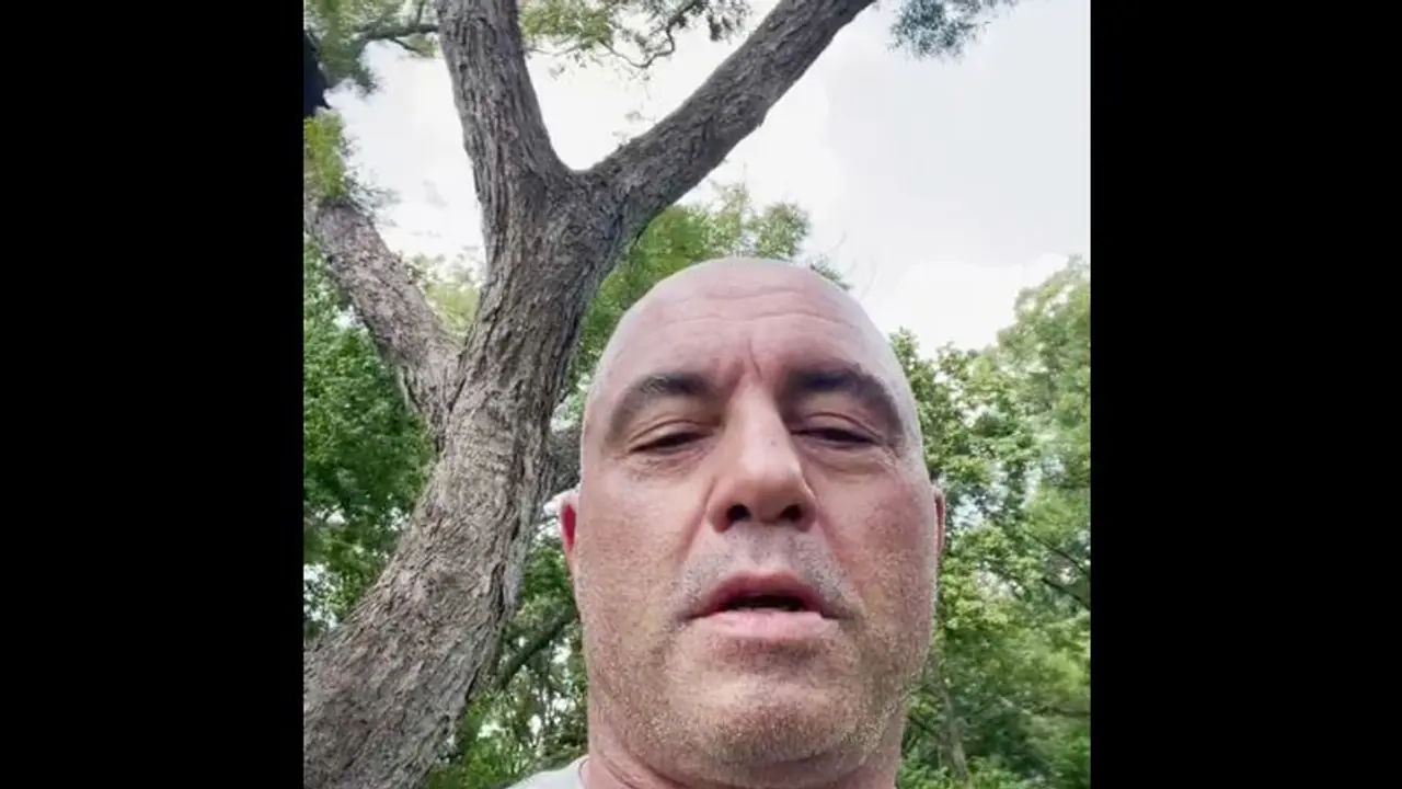 Joe Rogan, podcast host dismissive of COVID vaccine, tests positive for virus Joe Rogan, podcast host dismissive of COVID vaccine, tests positive for virus