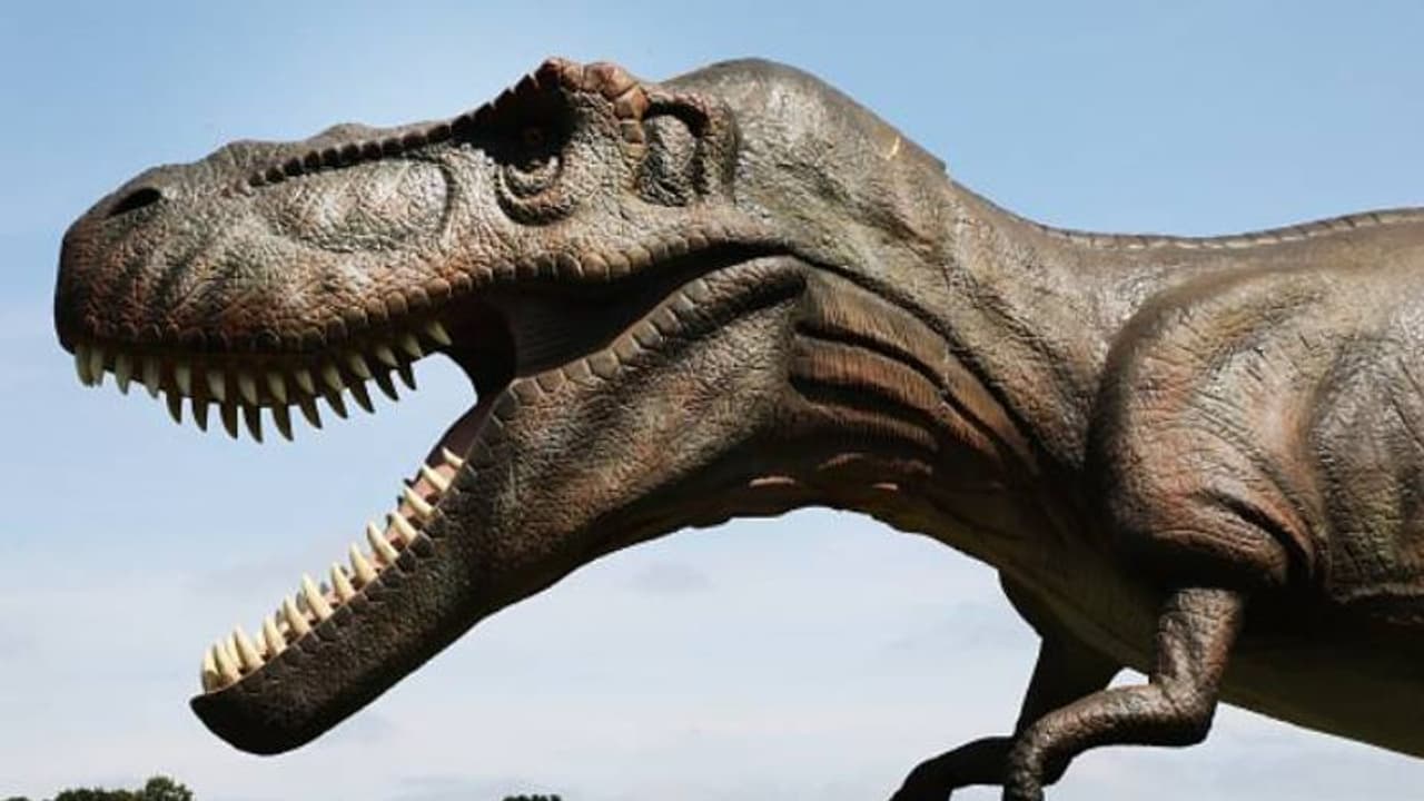 Dinosaur: নতুন প্রজাতির ডাইনোসরর সন্ধান, ব্রাজিল ছিল দৈত্যাকার প্রানীদের চারণভূমি Dinosaur: নতুন প্রজাতির ডাইনোসরর সন্ধান, ব্রাজিল ছিল দৈত্যাকার প্রানীদের চারণভূমি