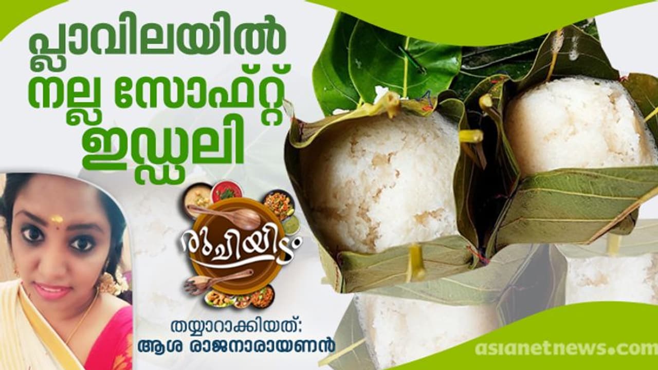 പ്ലാവിലയിൽ ഹെൽത്തിയായ ഇഡ്ഡലി തയ്യാറാക്കാം പ്ലാവിലയിൽ ഹെൽത്തിയായ ഇഡ്ഡലി തയ്യാറാക്കാം