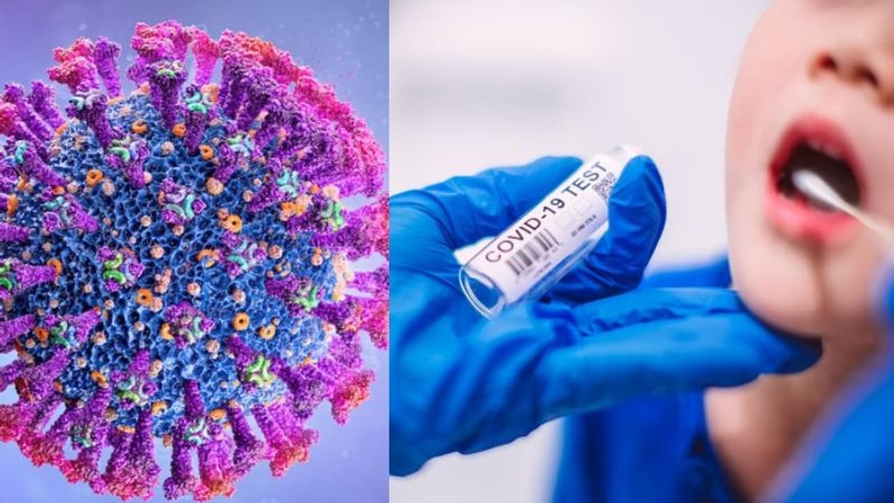 'ഡെല്റ്റ' വകഭേദം കുട്ടികളില് കൊവിഡ് കേസുകള് വര്ധിപ്പിക്കുമോ? 'ഡെല്റ്റ' വകഭേദം കുട്ടികളില് കൊവിഡ് കേസുകള് വര്ധിപ്പിക്കുമോ?