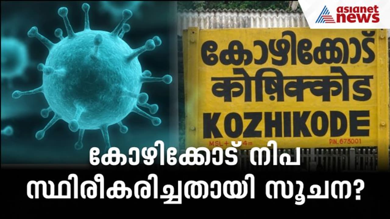 കോഴിക്കോട് വീണ്ടും നിപ സ്ഥിരീകരിച്ചതായി സൂചന ? കോഴിക്കോട് വീണ്ടും നിപ സ്ഥിരീകരിച്ചതായി സൂചന ?