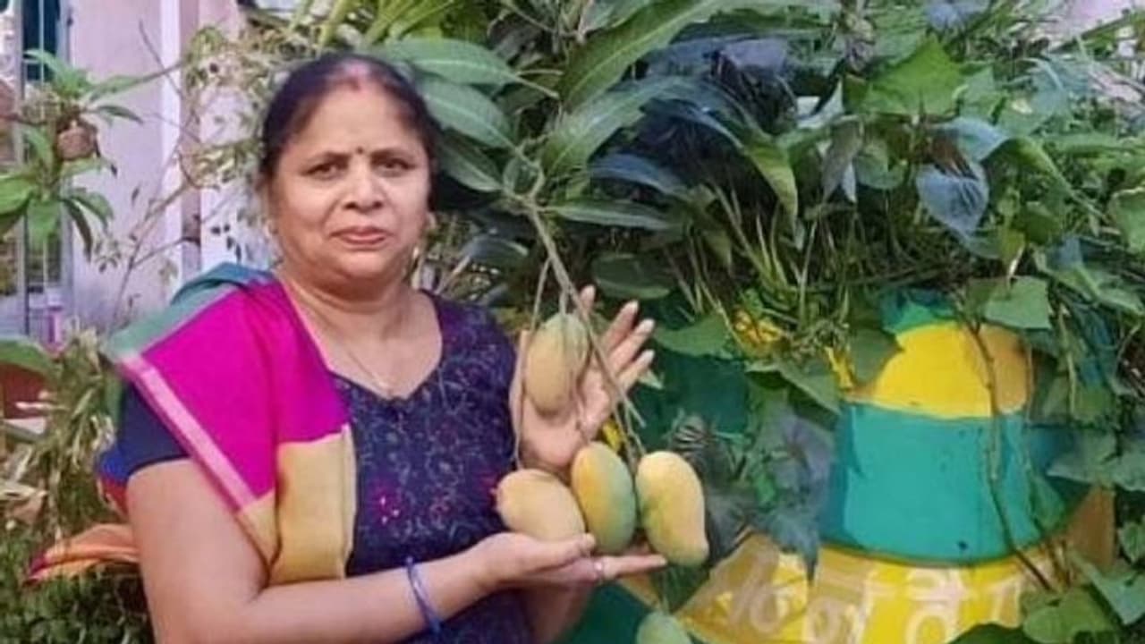 പച്ചക്കറിയും പഴങ്ങളും എല്ലാം വീട്ടിൽ തന്നെ കൃഷി ചെയ്യും, നൂറിലധികം ഇനങ്ങളുമായി വീട്ടുദ്യാനം പച്ചക്കറിയും പഴങ്ങളും എല്ലാം വീട്ടിൽ തന്നെ കൃഷി ചെയ്യും, നൂറിലധികം ഇനങ്ങളുമായി വീട്ടുദ്യാനം