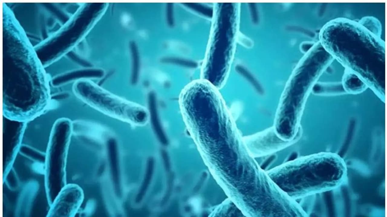 നിപ വൈറസ് ബാധയെക്കുറിച്ചുള്ള വ്യാജപ്രചാരണങ്ങള് വിശ്വസിക്കരുത്; ഡോക്ടർ പറയുന്നു... നിപ വൈറസ് ബാധയെക്കുറിച്ചുള്ള വ്യാജപ്രചാരണങ്ങള് വിശ്വസിക്കരുത്; ഡോക്ടർ പറയുന്നു...