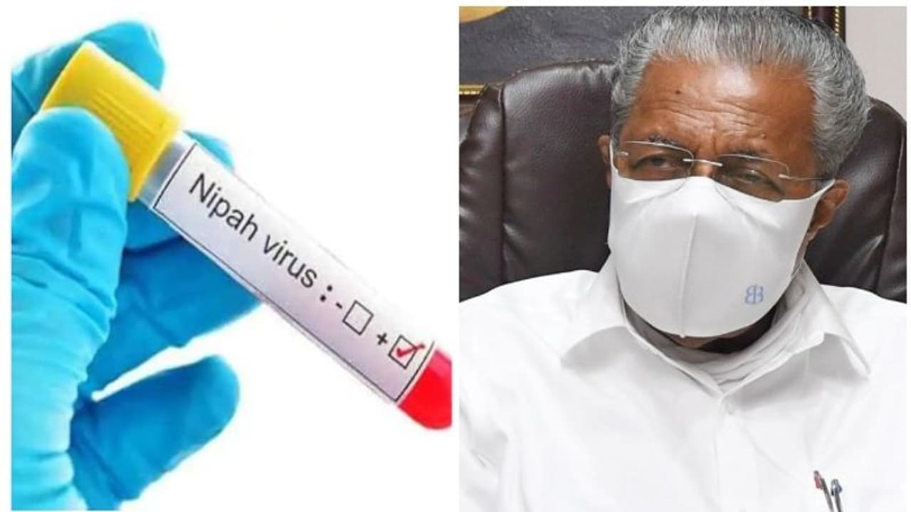 ಕೊರೋನಾ ಜೊತೆಗೆ ಈಗ ಕೇರಳಕ್ಕೆ ಮಾರಕ ನಿಪಾ ವೈರಸ್ ಗಂಡಾಂತರ! ಕೊರೋನಾ ಜೊತೆಗೆ ಈಗ ಕೇರಳಕ್ಕೆ ಮಾರಕ ನಿಪಾ ವೈರಸ್ ಗಂಡಾಂತರ!