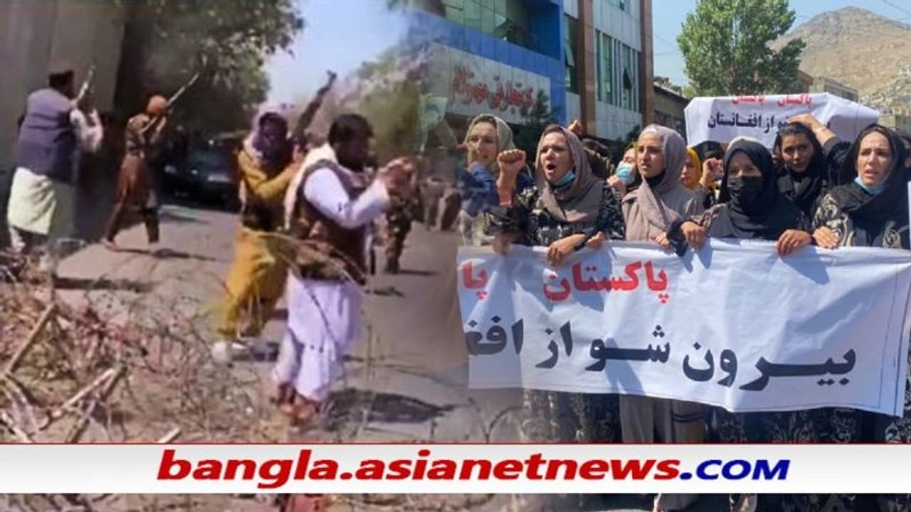 রাগে ফুঁসছে কাবুল, বিশাল পাকিস্তান বিরোধী মিছিল আতঙ্কে গুলি চালালো তালিবান, দেখুন রাগে ফুঁসছে কাবুল, বিশাল পাকিস্তান বিরোধী মিছিল আতঙ্কে গুলি চালালো তালিবান, দেখুন
