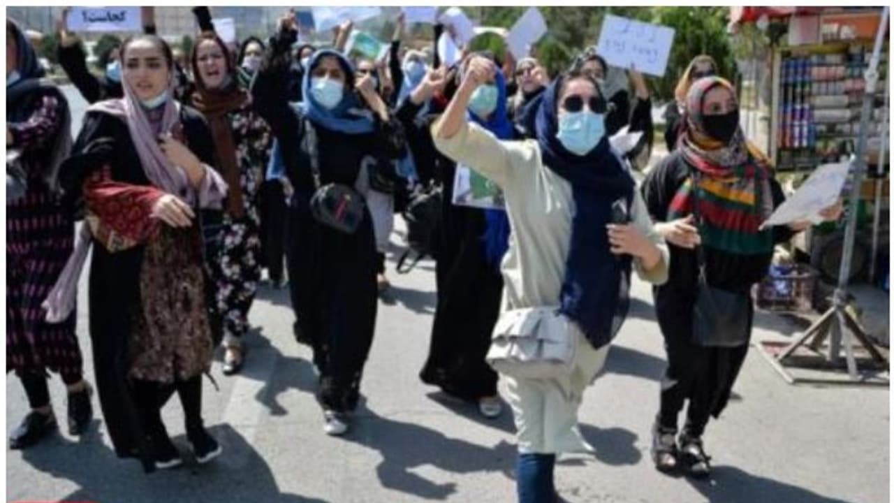 'പാകിസ്ഥാന് തുലയട്ടെ'; കാബൂളില് പ്രതിഷേധം, താലിബാന് വെടിവെപ്പ് 'പാകിസ്ഥാന് തുലയട്ടെ'; കാബൂളില് പ്രതിഷേധം, താലിബാന് വെടിവെപ്പ്