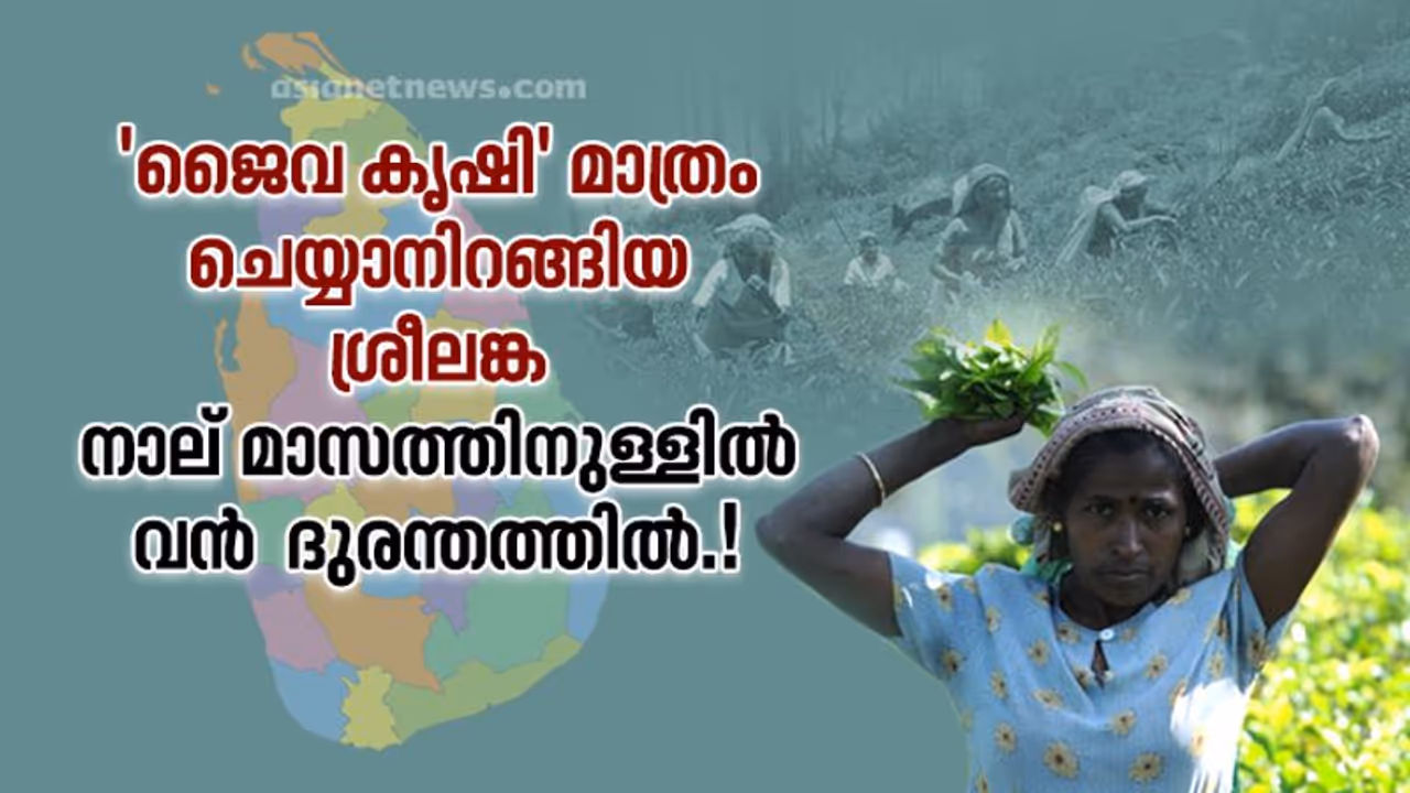'പൂര്‍ണ്ണമായും ജെവ കൃഷി മാത്രം' സര്‍ക്കാര്‍ നയത്തിനാല്‍ വന്‍ ദുരന്തത്തിന്‍റെ വക്കില്‍ ശ്രീലങ്ക