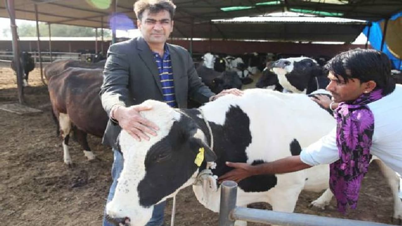 ലക്ഷങ്ങളുടെ ജോലിയുപേക്ഷിച്ച് ഗ്രാമത്തിലേക്ക്, കോർപറേറ്റ് ജോലിക്ക് പകരം ക്ഷീരവ്യവസായം ലക്ഷങ്ങളുടെ ജോലിയുപേക്ഷിച്ച് ഗ്രാമത്തിലേക്ക്, കോർപറേറ്റ് ജോലിക്ക് പകരം ക്ഷീരവ്യവസായം