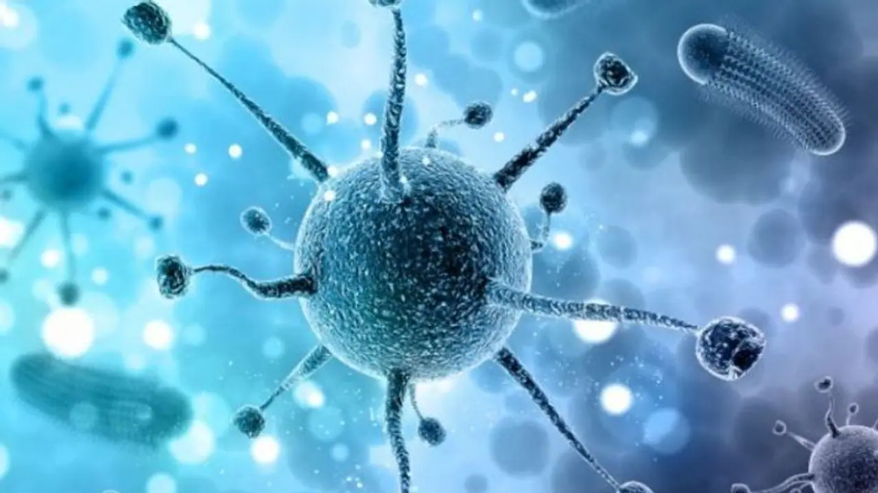 ನಿಫಾ ಭೀತಿಯಲ್ಲಿ ದಾಖಲಾಗಿದ್ದ ವ್ಯಕ್ತಿಯ ಪರೀಕ್ಷೆ ವರದಿ ನೆಗೆಟಿವ್‌