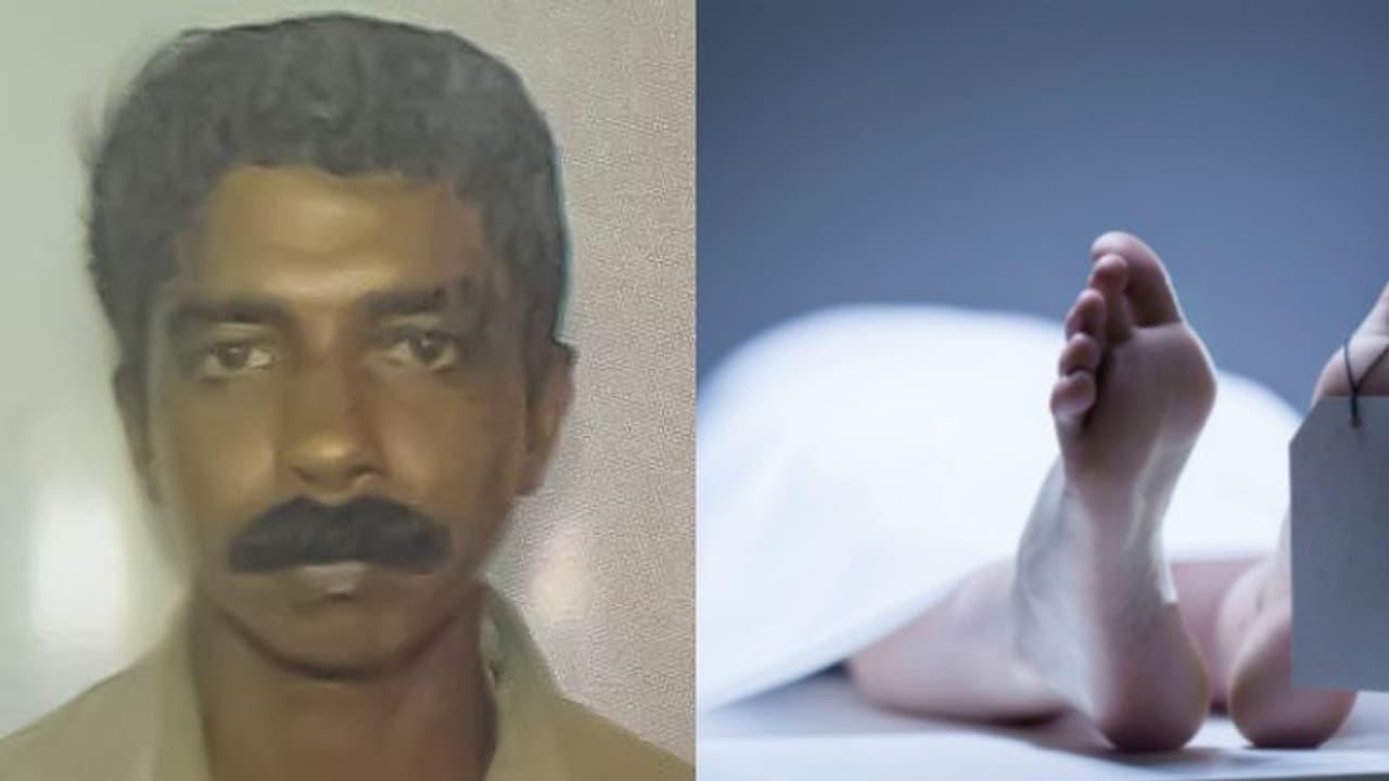 തീറ്റ കൊടുക്കുന്നതിനിടെ ആന ആക്രമിച്ചു, പാപ്പാന് ദാരുണാന്ത്യം തീറ്റ കൊടുക്കുന്നതിനിടെ ആന ആക്രമിച്ചു, പാപ്പാന് ദാരുണാന്ത്യം