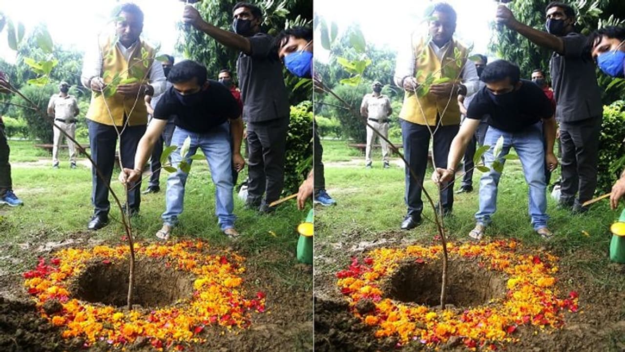 Green India Challenge : మొక్కలు నాటిన గౌతమ్ గంభీర్.. త్వరలో ట్విట్టర్ వేదికగా ముగ్గురికి సవాల్.. Green India Challenge : మొక్కలు నాటిన గౌతమ్ గంభీర్.. త్వరలో ట్విట్టర్ వేదికగా ముగ్గురికి సవాల్..