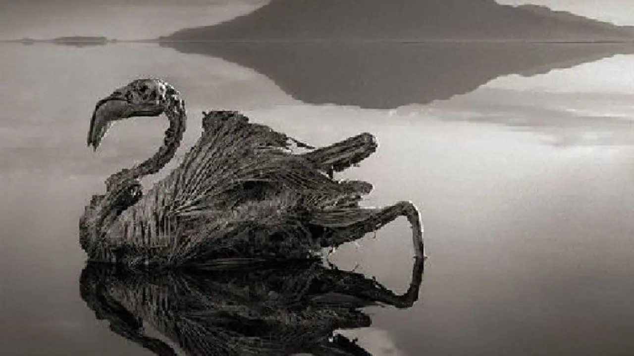 Lake natron 8 Lake natron 8