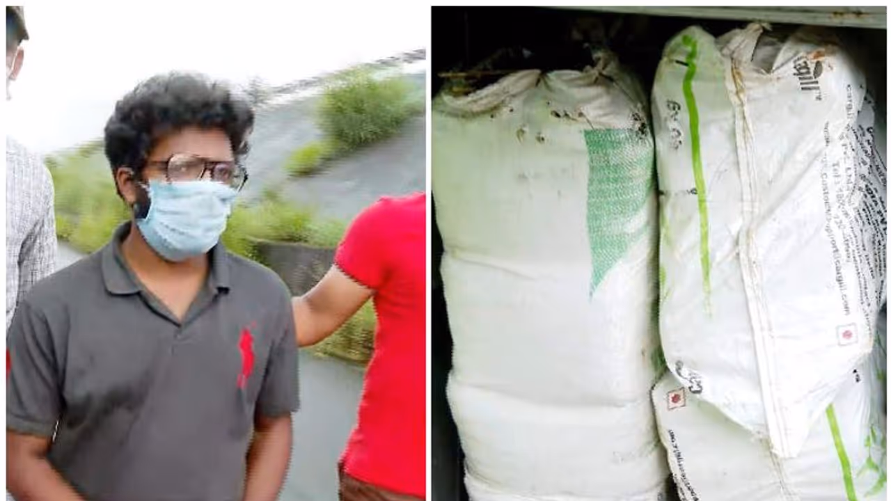 പാലക്കാട് വൻ കഞ്ചാവ് വേട്ട; ബംഗാളിൽ നിന്നുള്ള ബസിൽ കടത്താൻ ശ്രമിച്ച 200 കിലോ കഞ്ചാവ് പിടികൂടി പാലക്കാട് വൻ കഞ്ചാവ് വേട്ട; ബംഗാളിൽ നിന്നുള്ള ബസിൽ കടത്താൻ ശ്രമിച്ച 200 കിലോ കഞ്ചാവ് പിടികൂടി