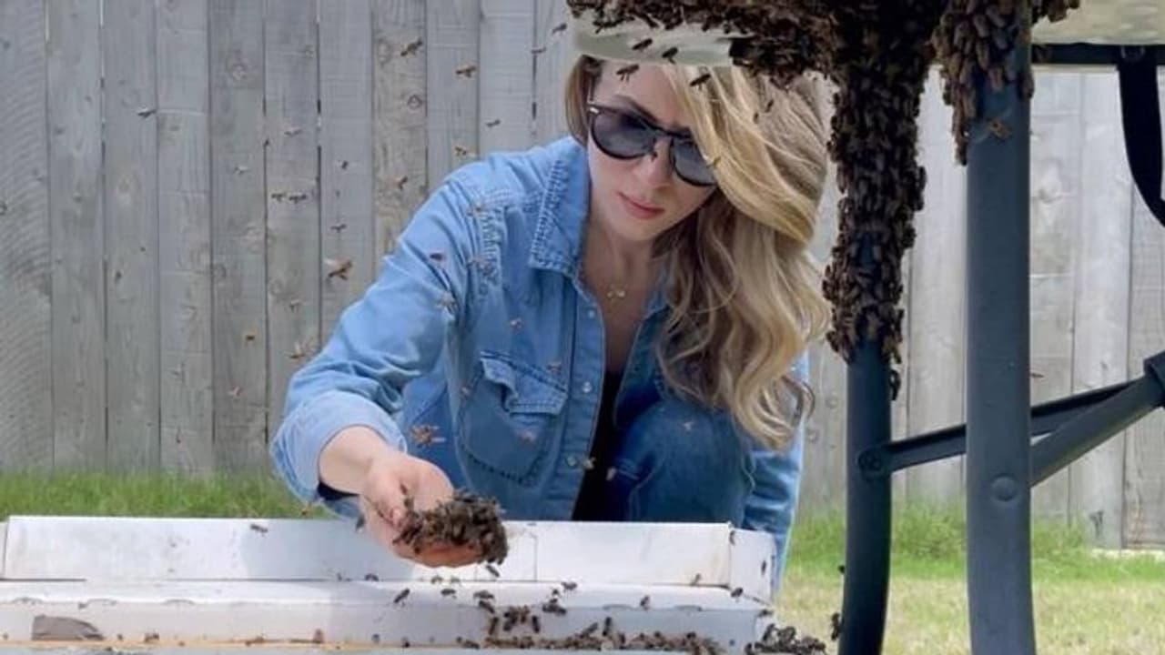 വെറുംകയ്യോടെ തേനീച്ചകളെ ഒരിടത്തുനിന്നും മറ്റൊരിടത്തേക്ക് മാറ്റുന്ന സ്ത്രീ, വൈറലായി വീഡിയോ