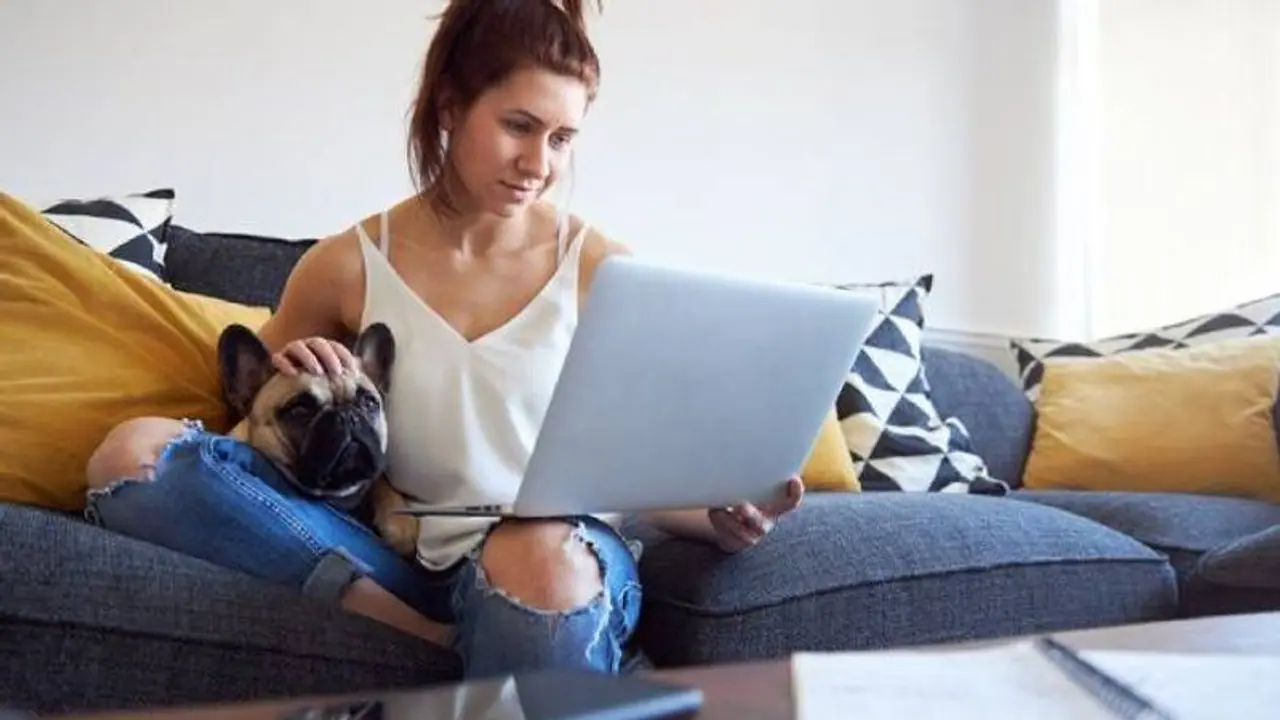 കൊറോണയെത്തുടർന്നുള്ള നിയന്ത്രണങ്ങളിൽ ഇളവുകളായി, നായ്ക്കളെ ഉപേക്ഷിക്കുന്ന ഉടമകളുടെ എണ്ണത്തിൽ വൻവർധന കൊറോണയെത്തുടർന്നുള്ള നിയന്ത്രണങ്ങളിൽ ഇളവുകളായി, നായ്ക്കളെ ഉപേക്ഷിക്കുന്ന ഉടമകളുടെ എണ്ണത്തിൽ വൻവർധന