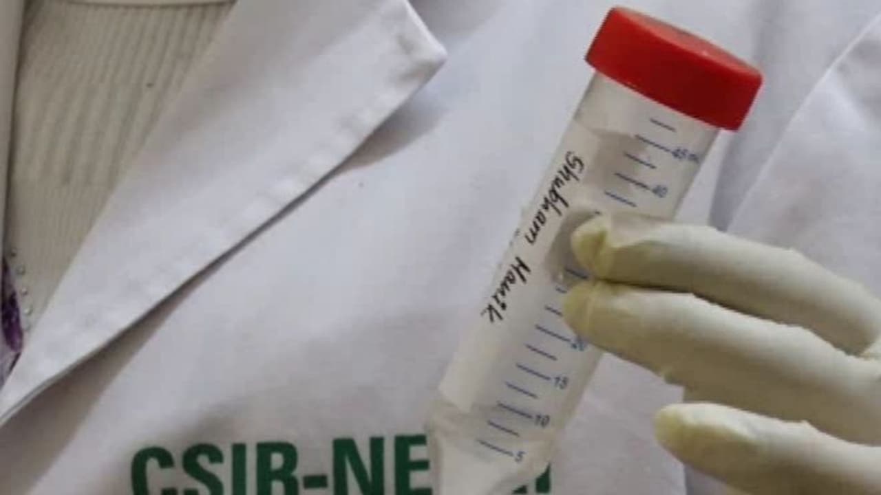 कोरोना के खिलाफ लड़ाई में मदद करेगी सेलाइन गार्गल RT PCR तकनीकी, ग्रामीण इलाकों को भी फायदा