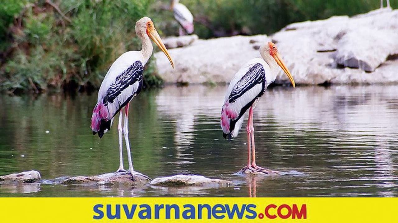 ವೀಕೆಂಡಲ್ಲಾದ್ರೂ ಔಟಿಂಗ್ ಹೋಗಿ! ಬೆಂಗಳೂರು ಹತ್ರದ ಬೆಸ್ಟ್ 5 ಜಾಗಗಳು! ವೀಕೆಂಡಲ್ಲಾದ್ರೂ ಔಟಿಂಗ್ ಹೋಗಿ! ಬೆಂಗಳೂರು ಹತ್ರದ ಬೆಸ್ಟ್ 5 ಜಾಗಗಳು!