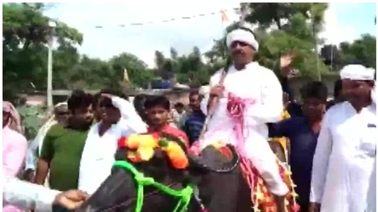 నామినేషన్ వేయడానికి దున్నపోతుపై వెళ్లిన అభ్యర్థి.. పెట్రోల్ ధర భరించలేనని వ్యాఖ్య నామినేషన్ వేయడానికి దున్నపోతుపై వెళ్లిన అభ్యర్థి.. పెట్రోల్ ధర భరించలేనని వ్యాఖ్య