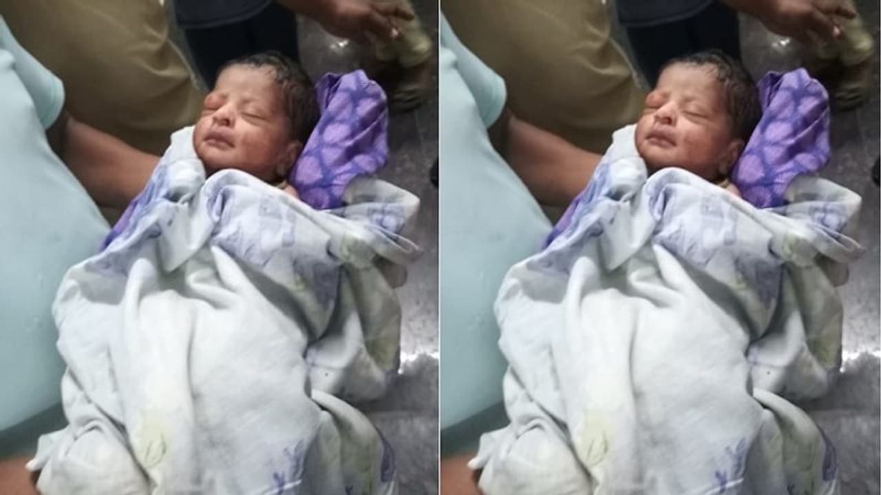 భద్రాచలంలో చెత్తకుప్పలో చిన్నారి.. ఆడపిల్ల పుట్టిందని అమానుషం... ! భద్రాచలంలో చెత్తకుప్పలో చిన్నారి.. ఆడపిల్ల పుట్టిందని అమానుషం... !