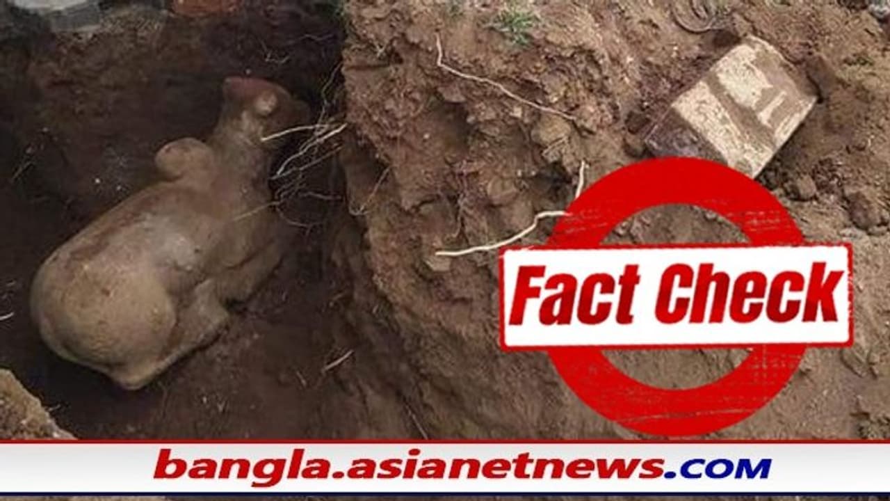 Fact Check: সত্যি কি এই নন্দী মূর্তিটি পাওয়া গেছে মসজিদের নিচে, সোশ্যাল মিডিয়ায় ভাইরাল শিবের বাহনের ছবি