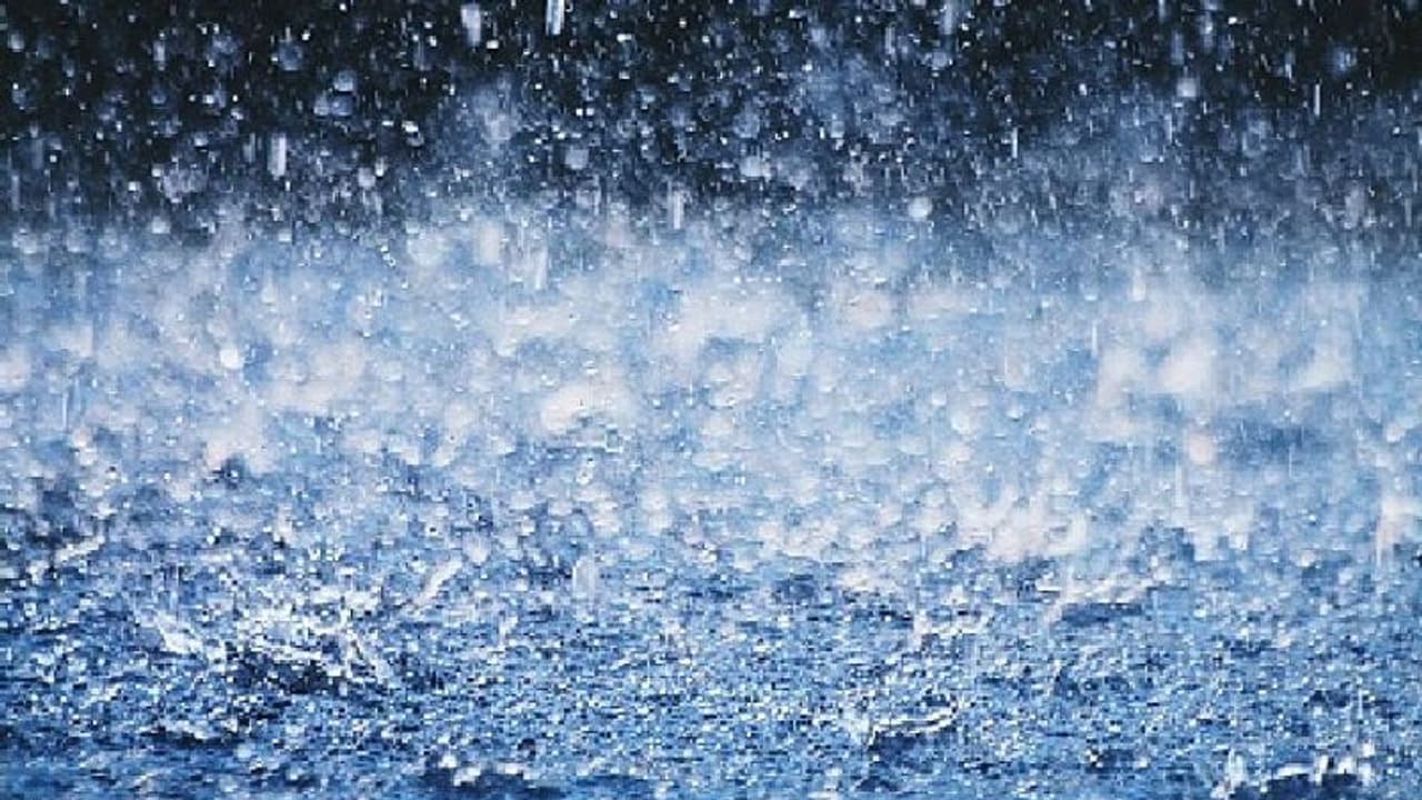 কেমন হবে বর্ষা, বছরের প্রথম দিনেই মৌসুমী বায়ুর হালহাকিকৎ জানাল আবহাওয়া দফতর কেমন হবে বর্ষা, বছরের প্রথম দিনেই মৌসুমী বায়ুর হালহাকিকৎ জানাল আবহাওয়া দফতর