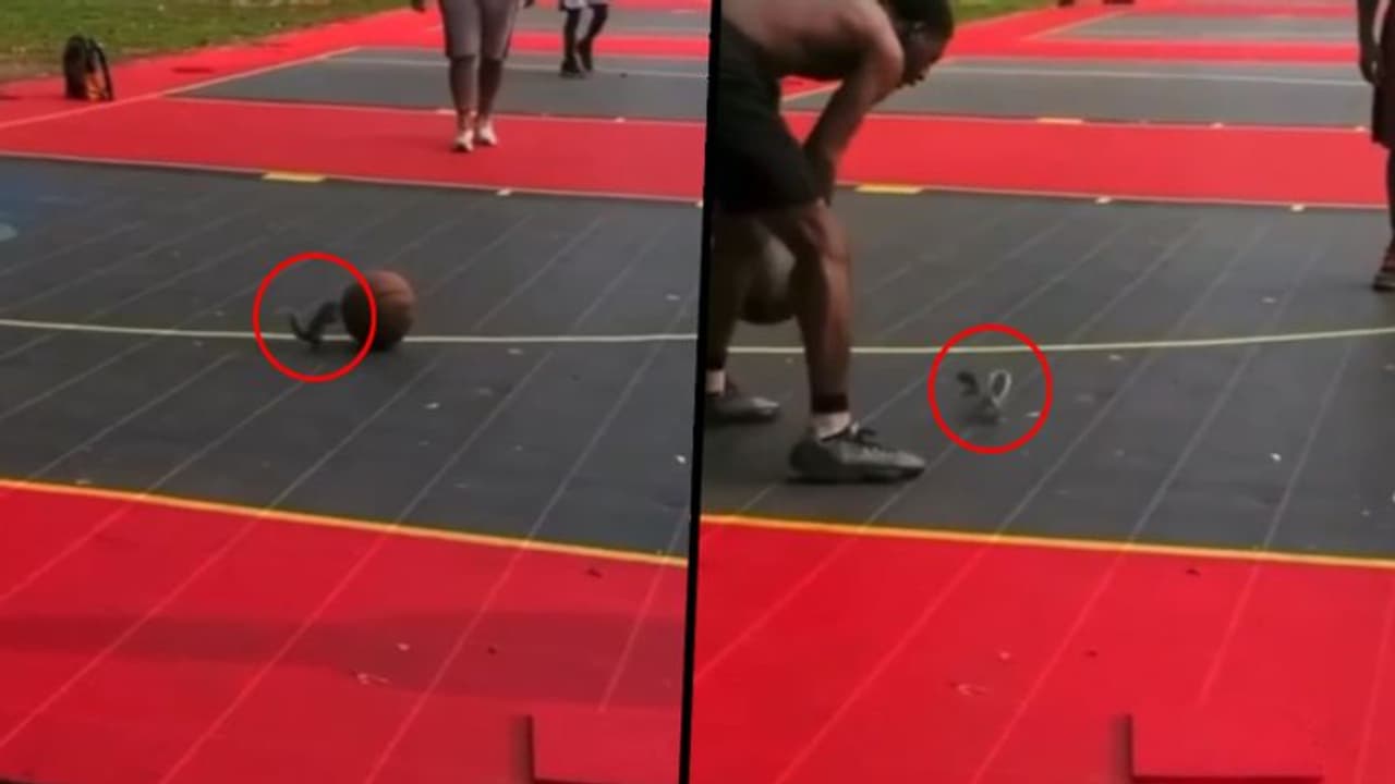 মানুষের সঙ্গে সমান তালে বাস্কেটবল খেলল কাঠবিড়ালি, দেখুন ভাইরাল ভিডিও মানুষের সঙ্গে সমান তালে বাস্কেটবল খেলল কাঠবিড়ালি, দেখুন ভাইরাল ভিডিও