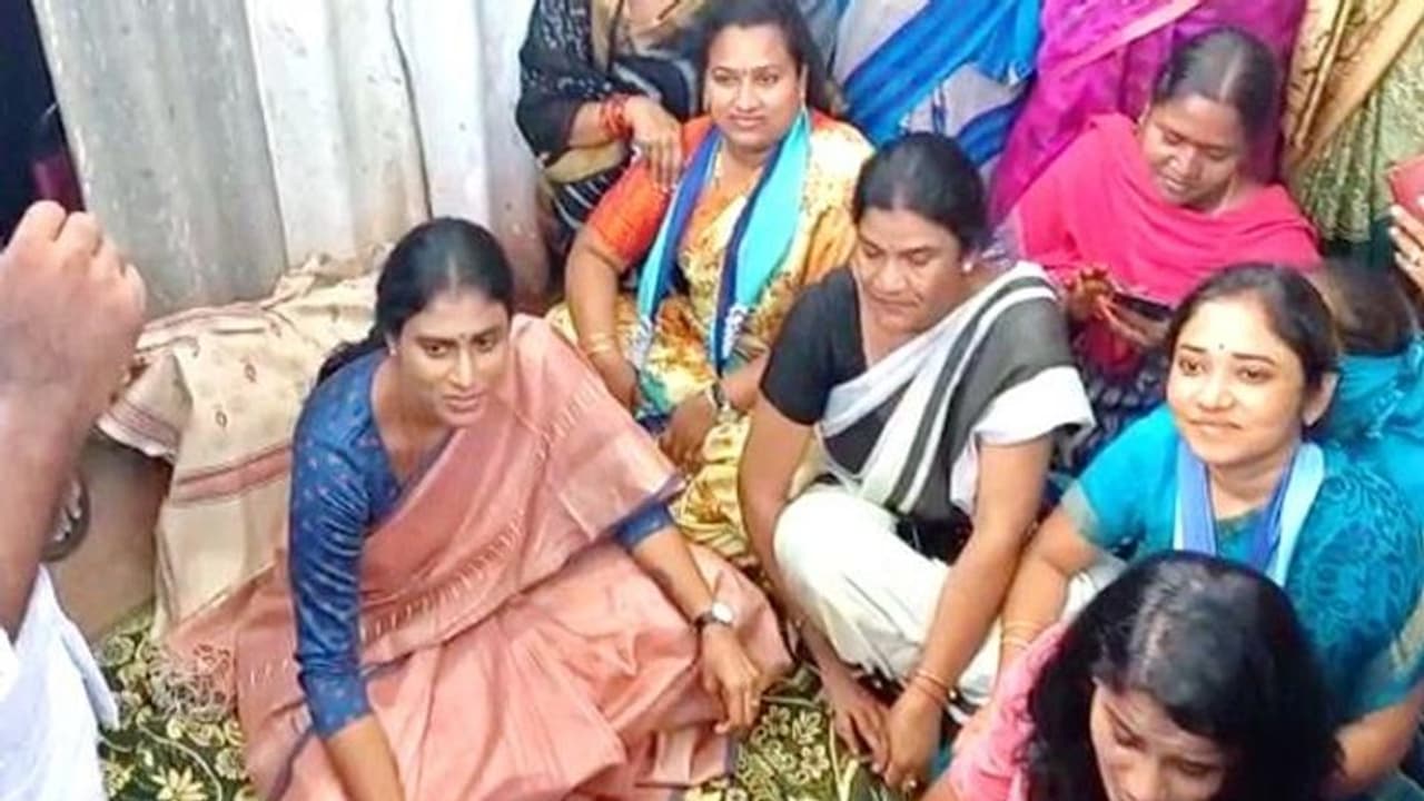 మీరు రైతే కదా.. ఆత్మహత్యలెందుకో తెలియదా, కమిటీ ఎందుకు: కేసీఆర్పై షర్మిల ఆగ్రహం మీరు రైతే కదా.. ఆత్మహత్యలెందుకో తెలియదా, కమిటీ ఎందుకు: కేసీఆర్పై షర్మిల ఆగ్రహం