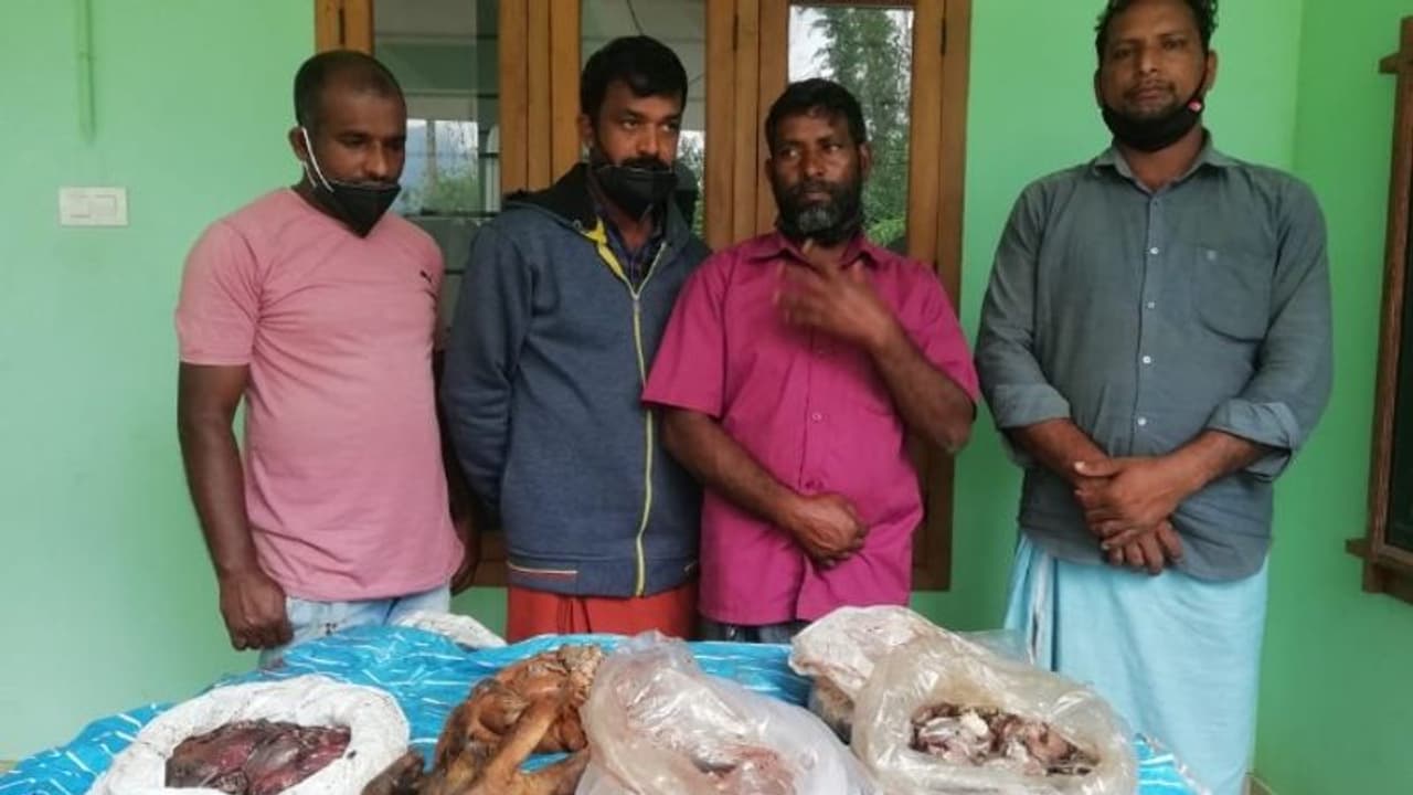 മേപ്പാടിയില് കേഴമാനിന്റെ ഇറച്ചി വില്പ്പന നടത്തിയ സംഘം പിടിയില് മേപ്പാടിയില് കേഴമാനിന്റെ ഇറച്ചി വില്പ്പന നടത്തിയ സംഘം പിടിയില്