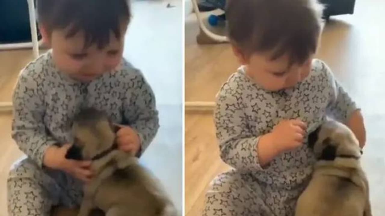 ഒരുമിച്ച് വളരാം: കുഞ്ഞിനൊപ്പം കളിക്കുന്ന പട്ടിക്കുഞ്ഞ്, വൈറലായി വീഡിയോ ഒരുമിച്ച് വളരാം: കുഞ്ഞിനൊപ്പം കളിക്കുന്ന പട്ടിക്കുഞ്ഞ്, വൈറലായി വീഡിയോ