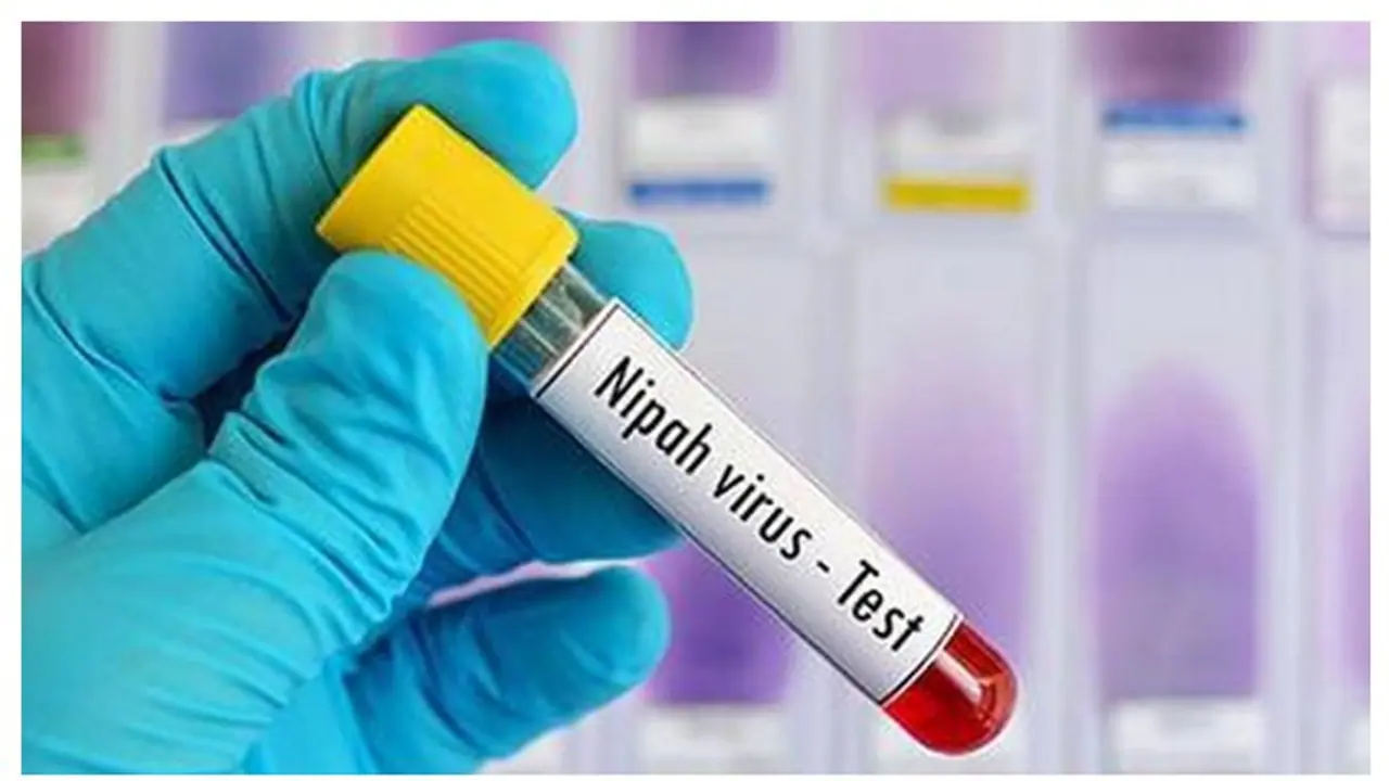 ഭീഷണിയായി നിപ; നിയന്ത്രണങ്ങൾ മറികടന്ന് കോഴിക്കോട് അത്ലറ്റിക് അസോസിയേഷൻ സെലക്ഷൻ ട്രയൽ ഭീഷണിയായി നിപ; നിയന്ത്രണങ്ങൾ മറികടന്ന് കോഴിക്കോട് അത്ലറ്റിക് അസോസിയേഷൻ സെലക്ഷൻ ട്രയൽ