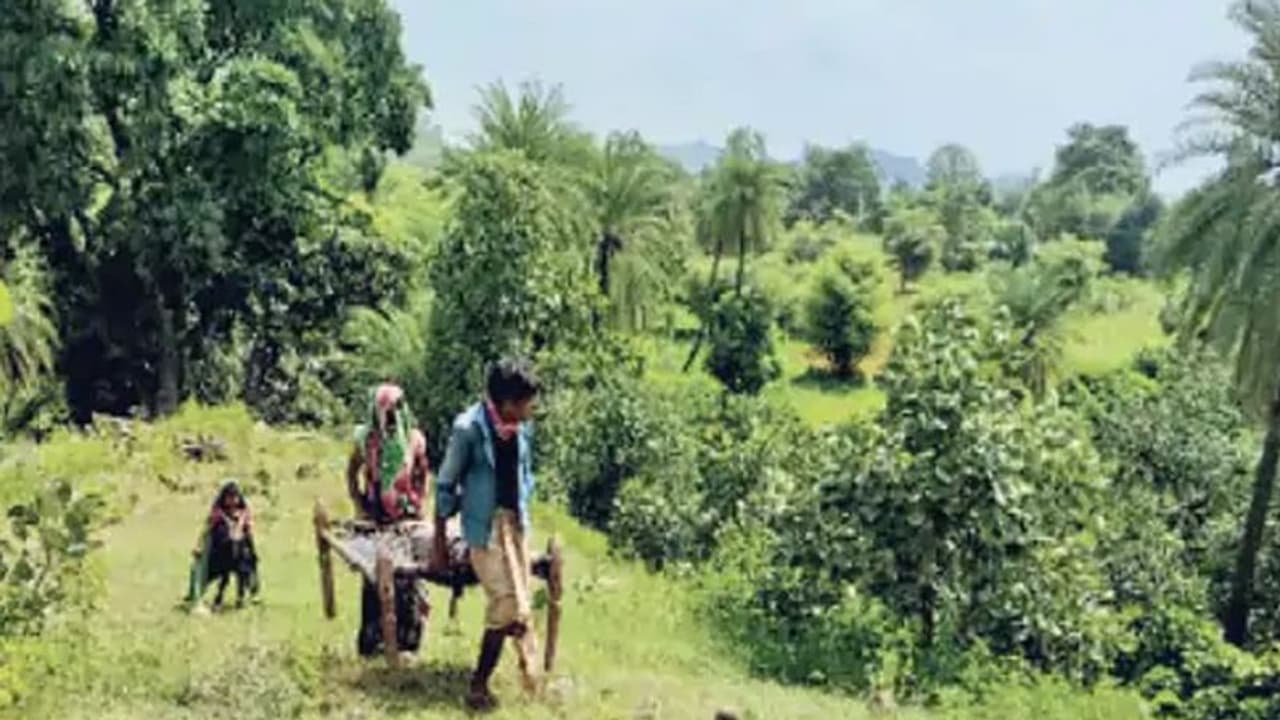 ऐसा क्या हुआ कि 750 रुपए के लिए बुजुर्ग को 3 किमी चारपाई पर ले गए परिजन, डाकिया भी था साथ ऐसा क्या हुआ कि 750 रुपए के लिए बुजुर्ग को 3 किमी चारपाई पर ले गए परिजन, डाकिया भी था साथ