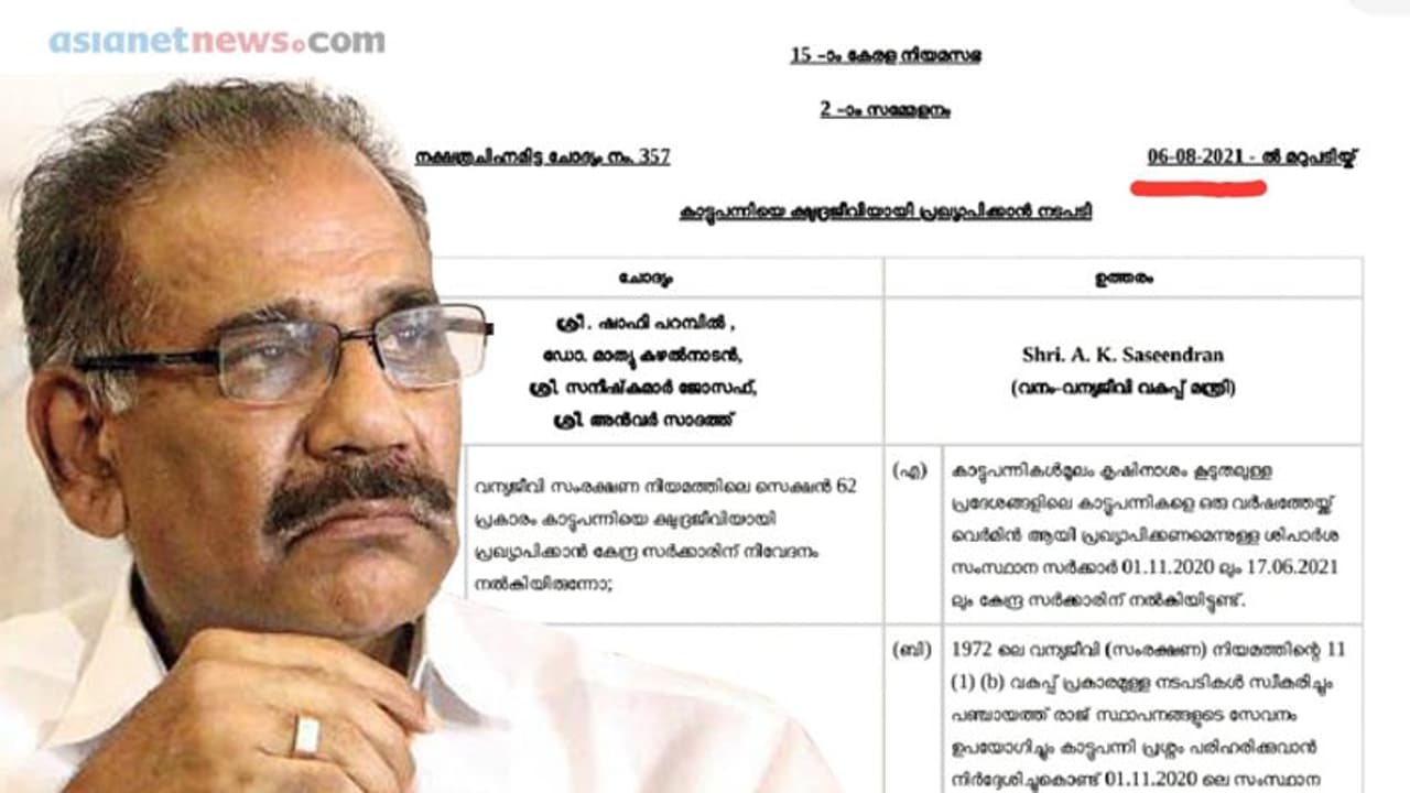 കാട്ടുപന്നിയുടെ ക്ഷുദ്രജീവി പദവി; വനം മന്ത്രി നിയമസഭയെ തെറ്റിദ്ധരിപ്പിച്ചു കാട്ടുപന്നിയുടെ ക്ഷുദ്രജീവി പദവി; വനം മന്ത്രി നിയമസഭയെ തെറ്റിദ്ധരിപ്പിച്ചു