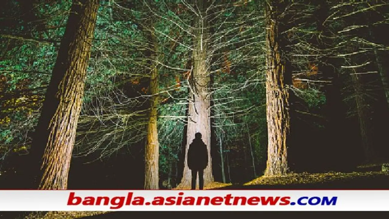 আচমকা কোনও অচেনা গন্ধ পাচ্ছেন, আপনার চারপাশে কোনও আত্মা নেই তো