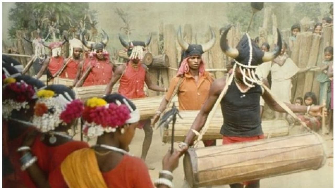 ഒരു സെക്സ് ക്രൈം പോലുമില്ലാതെ ബസ്തറിലെ ഒരു ഗോത്രം, ഇവിടം ലൈംഗികസ്വാതന്ത്ര്യത്തിന്റെ പറുദീസയെന്ന് ഗവേഷകർ