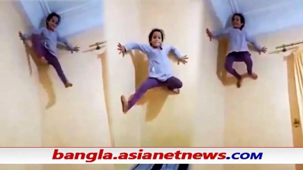 Viral Video স্পাইডারম্যানের কি মেয়ে হল, মাকড়সার মতো দেওয়াল বেয়ে উঠে যাচ্ছে পুঁচকে, দেখুন Viral Video স্পাইডারম্যানের কি মেয়ে হল, মাকড়সার মতো দেওয়াল বেয়ে উঠে যাচ্ছে পুঁচকে, দেখুন