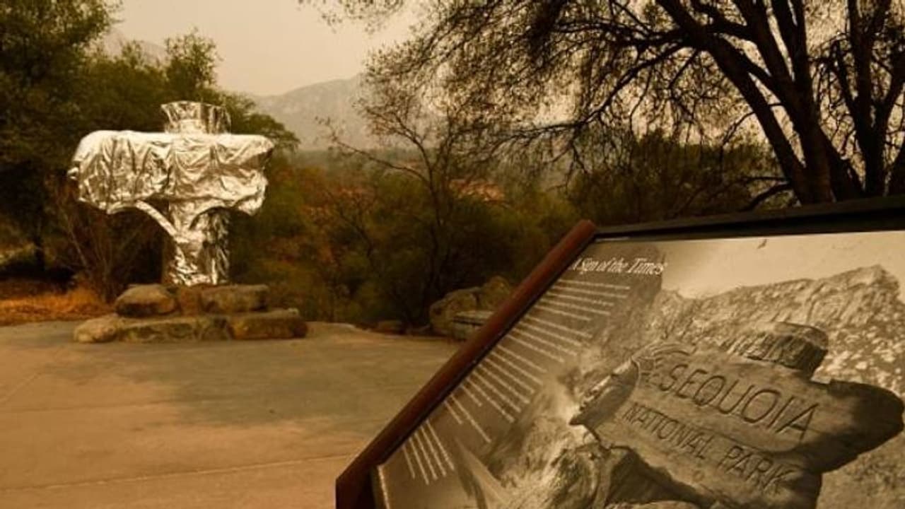 ലോകത്തിലെ ഏറ്റവും വലിയ വൃക്ഷങ്ങളിലേക്ക് പടർന്നു കയറി കാട്ടുതീ, സംരക്ഷിക്കാനായി പോരാടി അ​ഗ്നിശമനസേന