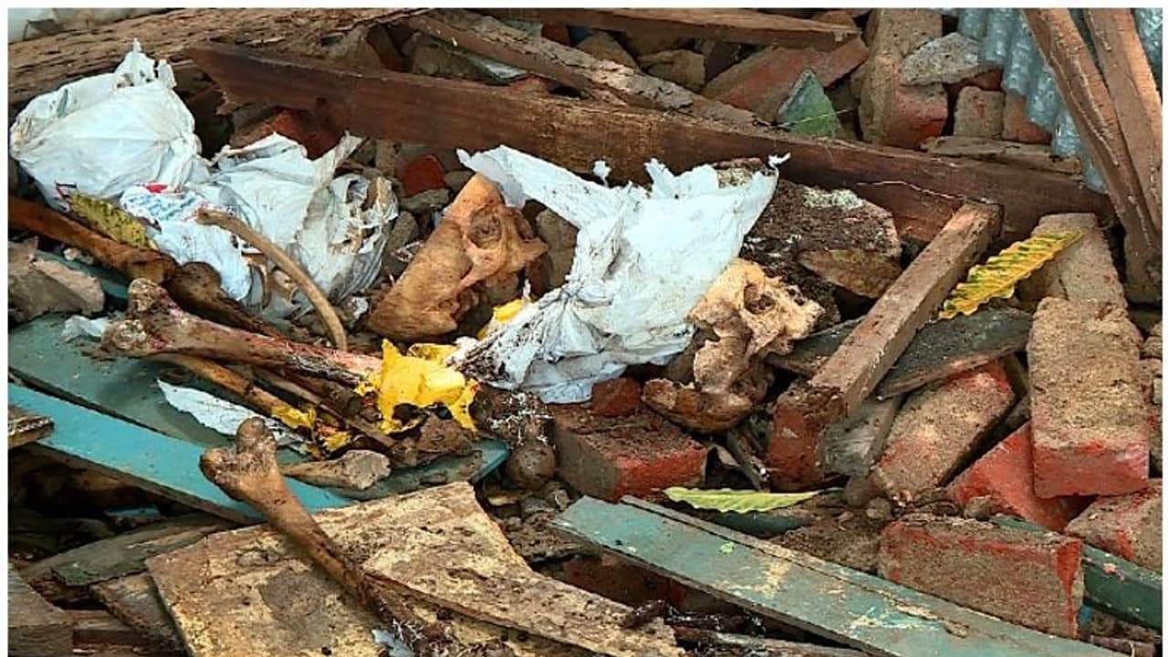 ആലപ്പുഴയില് പൊളിച്ചുകൊണ്ടിരുന്ന കെട്ടിടത്തില് അസ്ഥികൂടം ആലപ്പുഴയില് പൊളിച്ചുകൊണ്ടിരുന്ന കെട്ടിടത്തില് അസ്ഥികൂടം