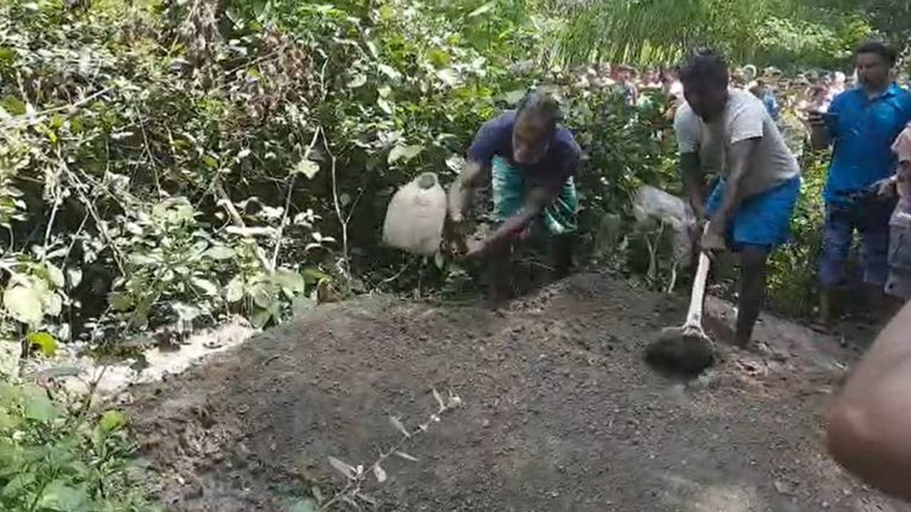 জমি নিয়ে বিবাদের জেরে কিশোরীকে 'খুন' দাদু ঠাকুমার, মায়ের অভিযোগের ভিত্তিতে কবর থেকে তোলা হল দেহ জমি নিয়ে বিবাদের জেরে কিশোরীকে 'খুন' দাদু ঠাকুমার, মায়ের অভিযোগের ভিত্তিতে কবর থেকে তোলা হল দেহ