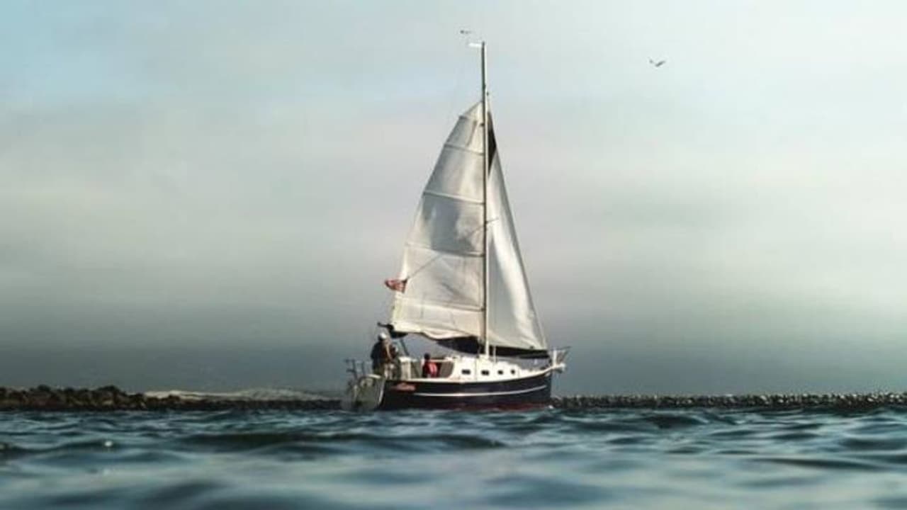 കൊവിഡ് ചതിച്ചു, വിസ പുതുക്കാൻ നാട്ടിൽ ചെല്ലാൻ മാർഗമില്ല, 6000 കിലോമീറ്റർ കടലിലൂടെ തനിച്ച് സഞ്ചരിച്ച് നാവികൻ കൊവിഡ് ചതിച്ചു, വിസ പുതുക്കാൻ നാട്ടിൽ ചെല്ലാൻ മാർഗമില്ല, 6000 കിലോമീറ്റർ കടലിലൂടെ തനിച്ച് സഞ്ചരിച്ച് നാവികൻ