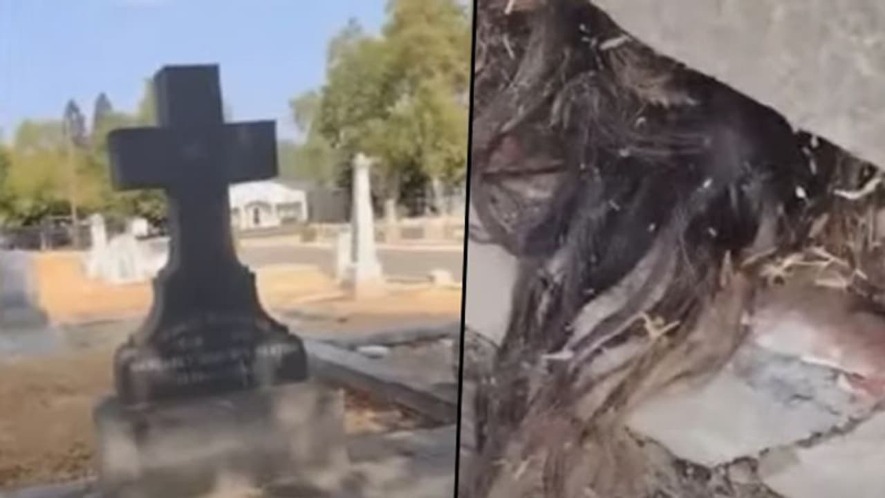 Terrifying: Human hair emerges out of 100 year old grave; watch video